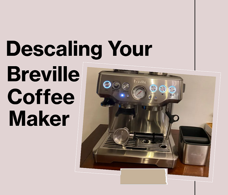 How to Descale Breville Coffee Maker